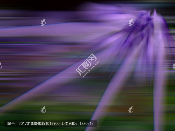 摘要紫燈