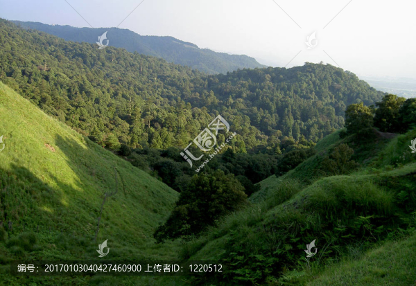 山