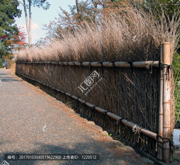 草籬笆