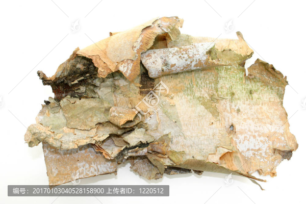 白白白