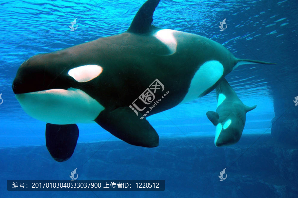 媽咪與我