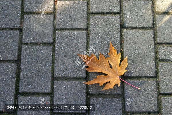 孤獨(dú)