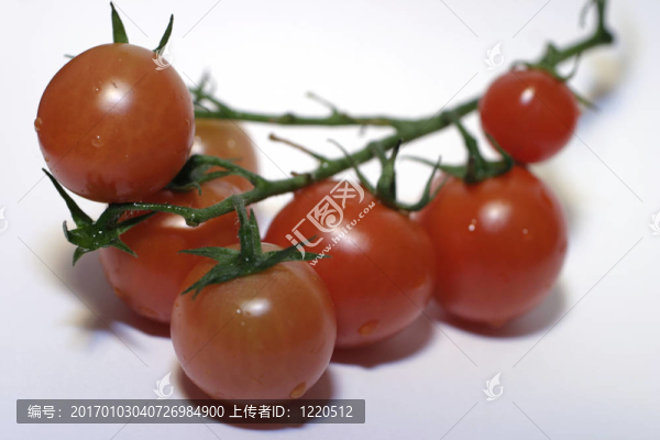 葡萄上的西紅柿