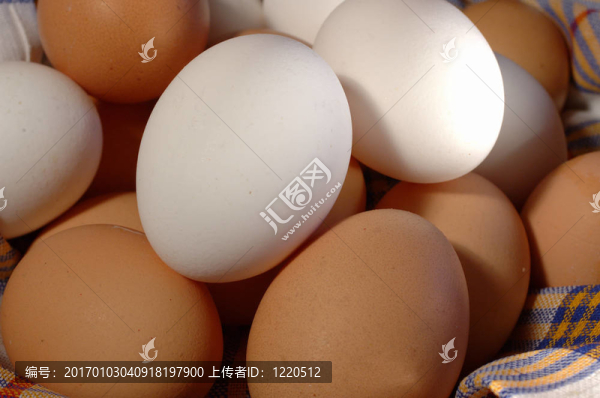 雞蛋