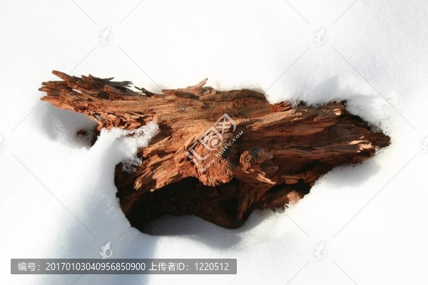 德里夫特伍德Snow