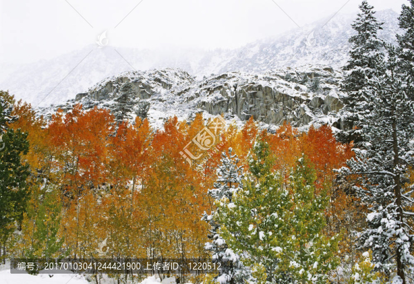 Mountains第一場雪