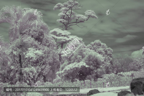 紅外5-匯圖網(wǎng) www.fosd68.com 紅外5