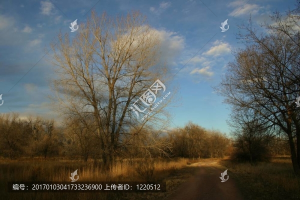 鄉(xiāng)村路