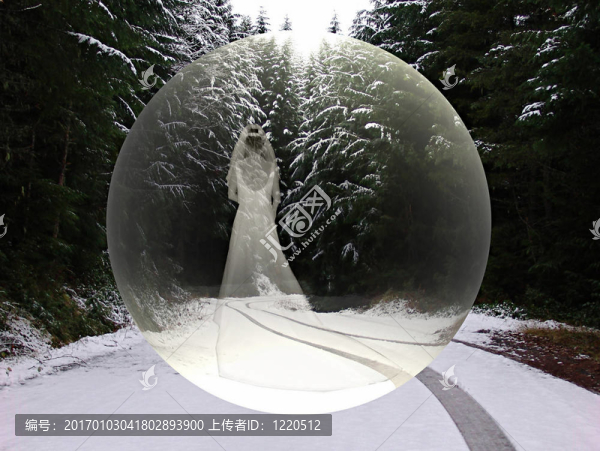 snowbride