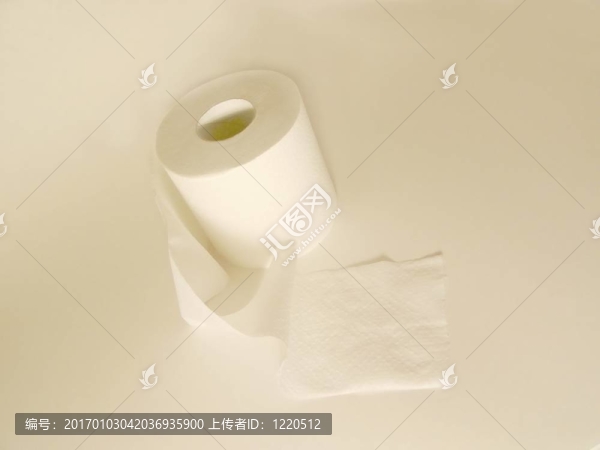 廁紙