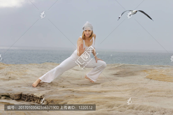 太極拳