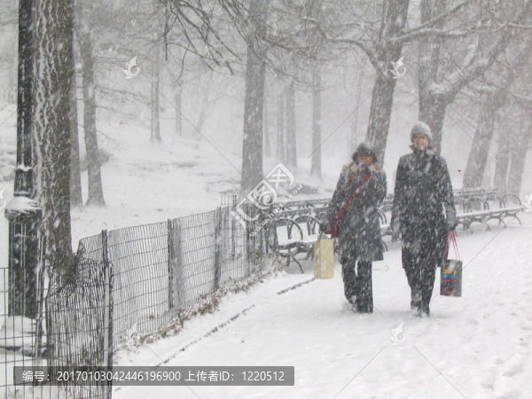 公園里的雪