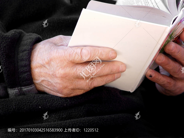 在老手中的書