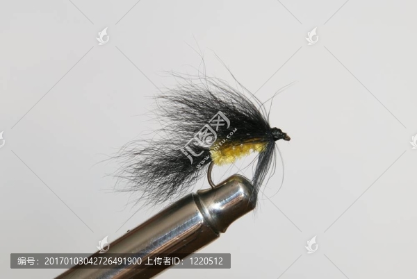 黃色和黑色的蒼蠅