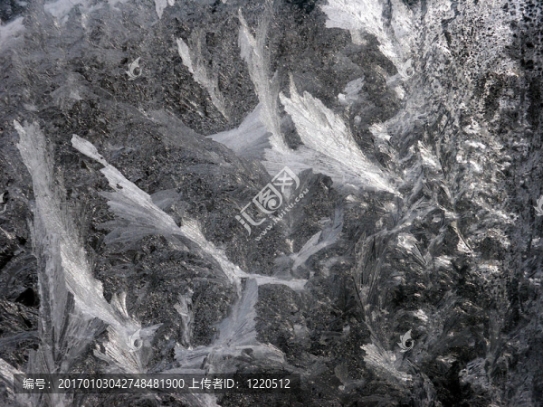 Frost的工作