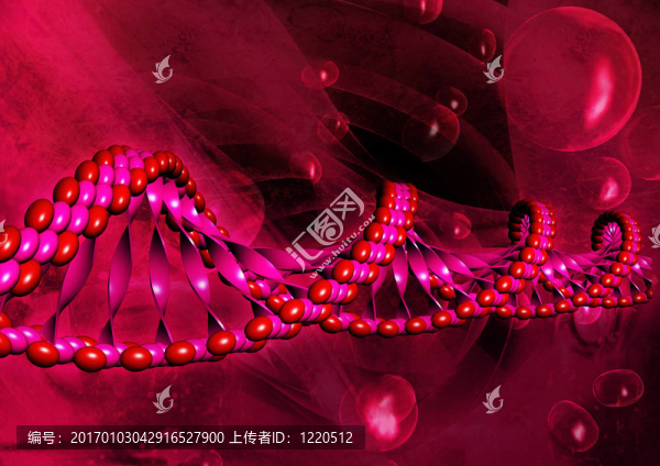 DNA的插圖