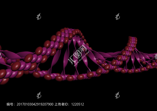 DNA的插圖