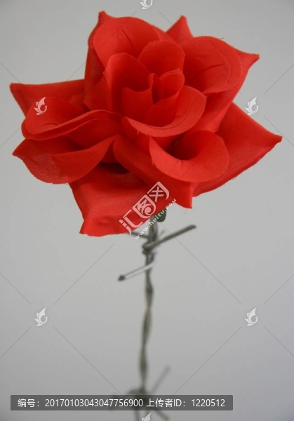 愛的痛