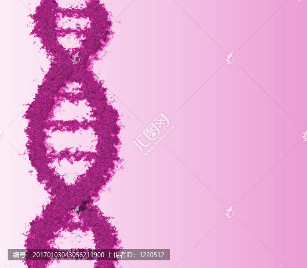 DNA
