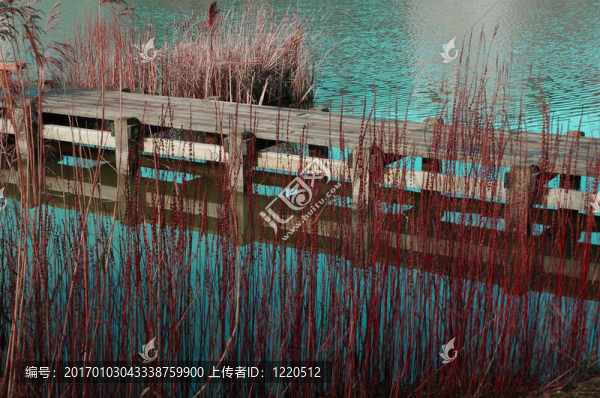 橋-匯圖網(wǎng) www.fosd68.com 橋