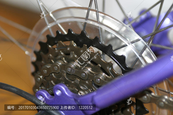 自行車后齒輪和鏈條