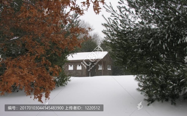 雪中的小屋