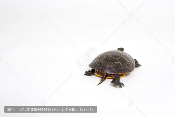 失控于此