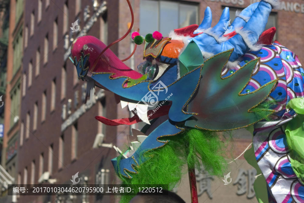 龍
