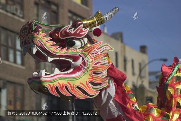 龍