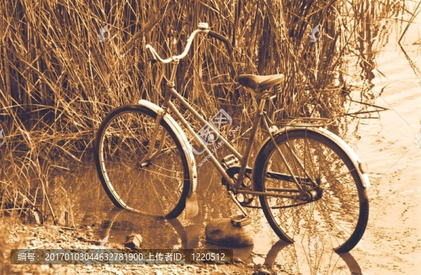 舊自行車