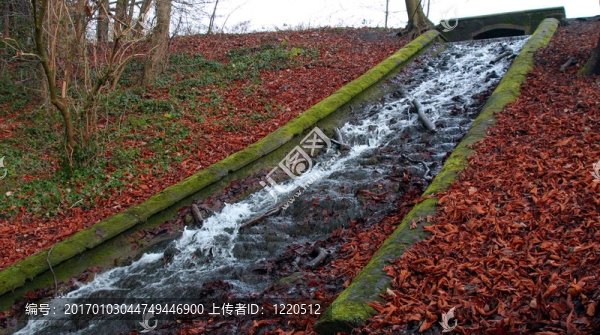 waterfall-1