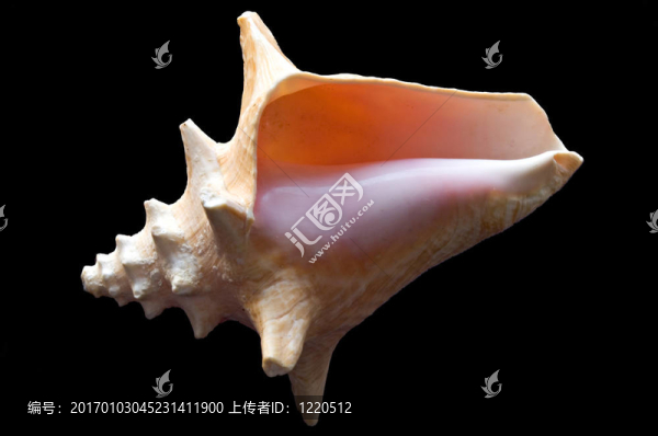粗糙和光滑的