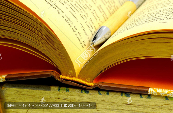 打開(kāi)的書(shū)