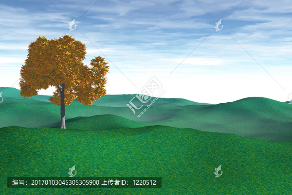 域樹