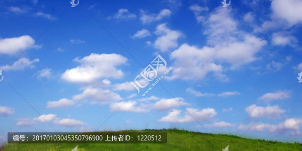 天空和草地