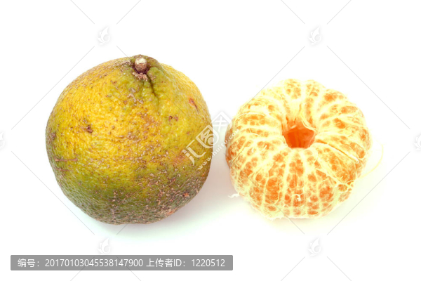 丑橘