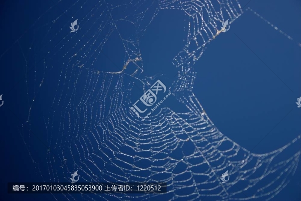 網(wǎng)絡(luò)