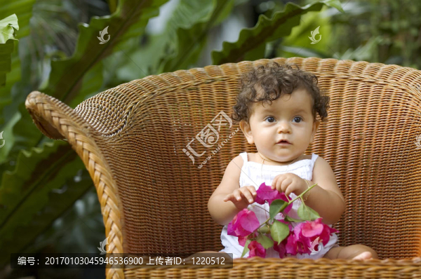 迷人的蘭花-匯圖網(wǎng) www.fosd68.com 迷人的蘭花