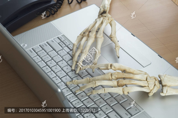 在工作的骨架4