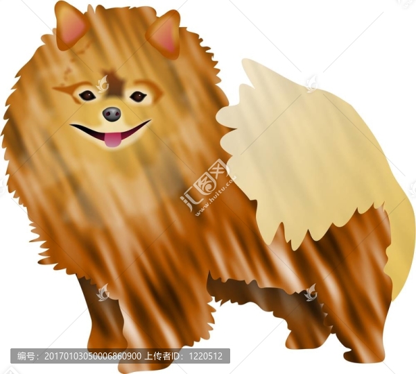 博美犬
