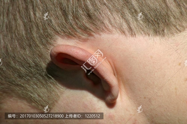 你能聽見我的聲音嗎？