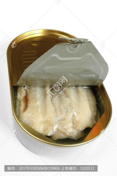 魚(yú)罐頭