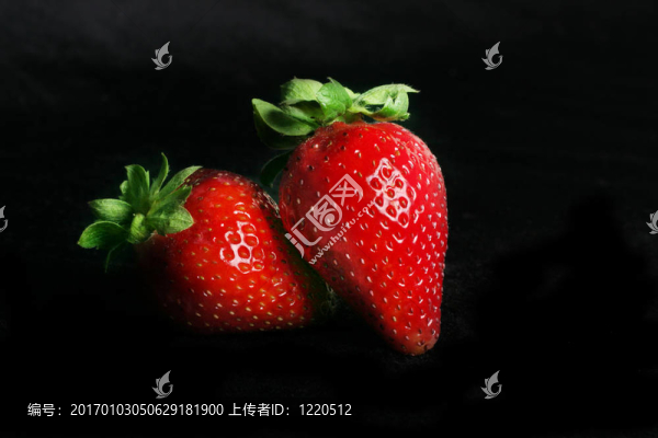 草莓的二重唱
