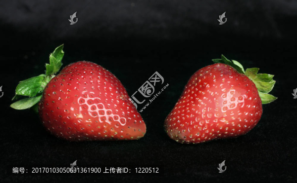 Strawberry,duet,2