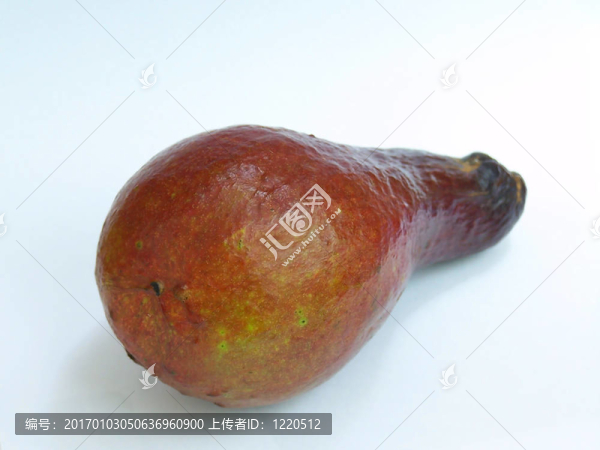 鱷梨