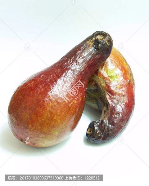 鱷梨