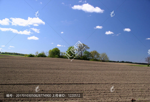 春天的田野