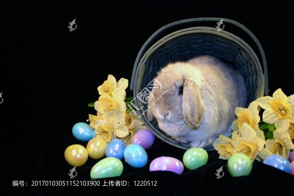 復(fù)活節(jié)籃子2