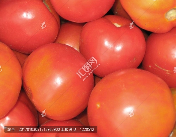 新鮮的西紅柿