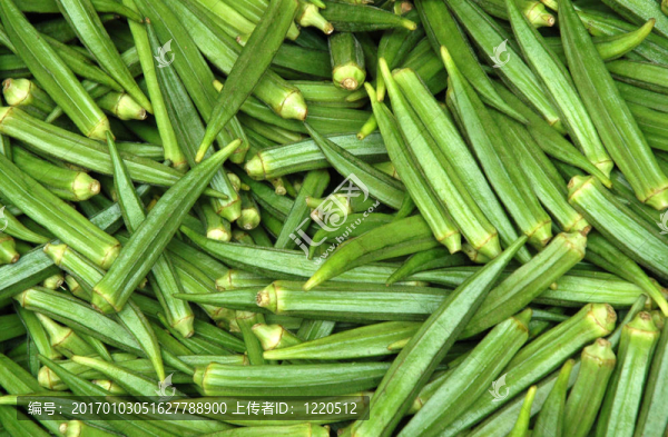 小松糕